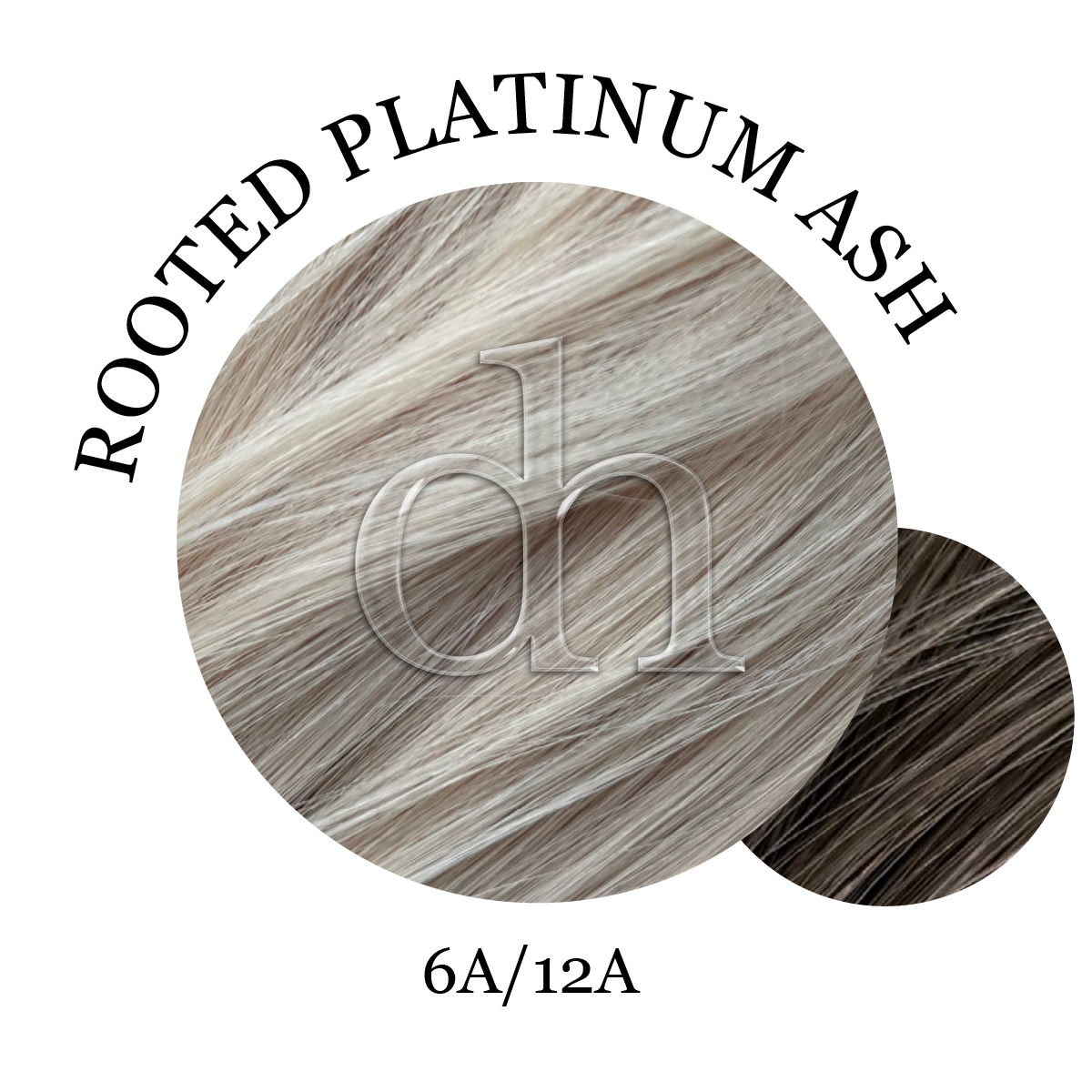 #6A/12A • Rooted Platinum Ash