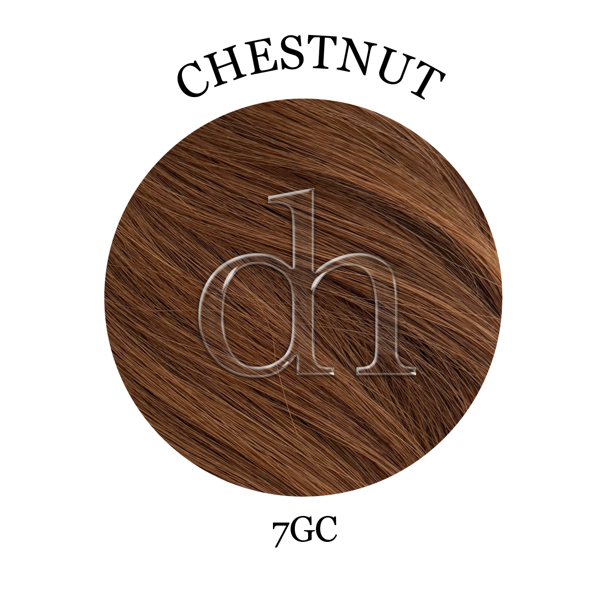 #7GC • Chestnut