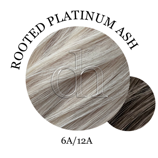 #6A/12A • Rooted Platinum Ash