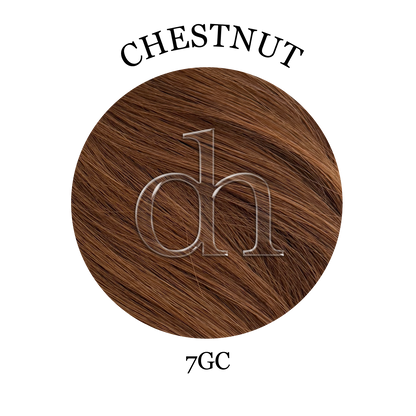 #7GC • Chestnut