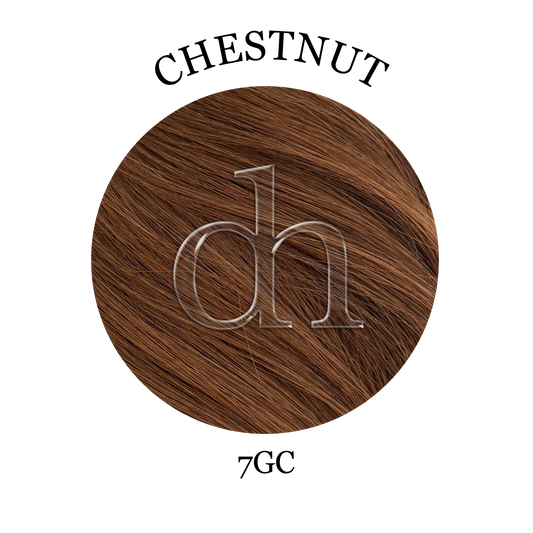 #7GC • Chestnut
