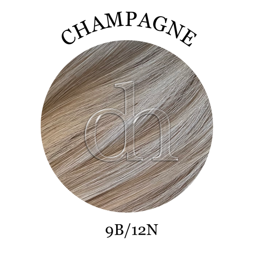 #9B/12N • Champagne Balayage