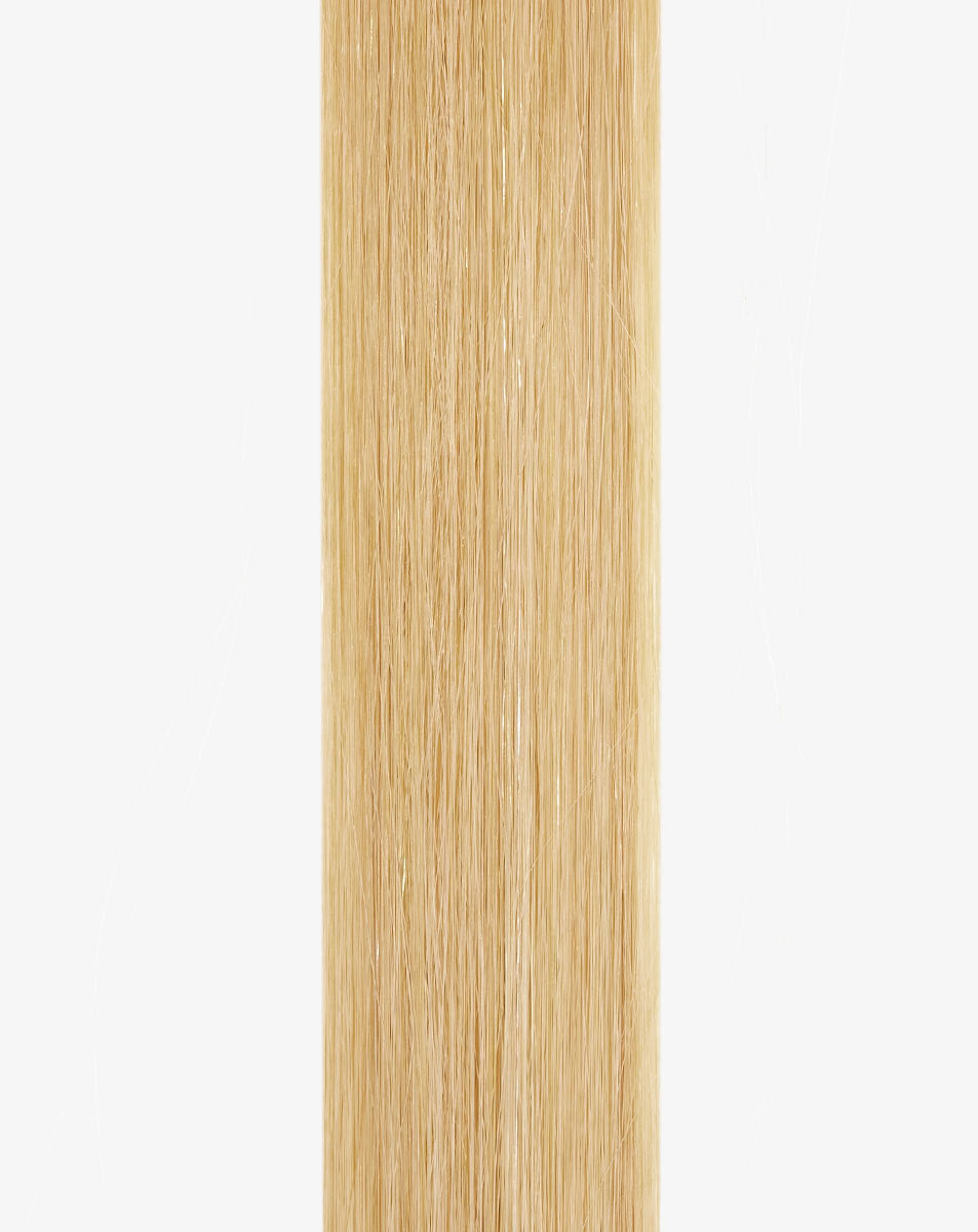 Tape • #Nordic Blonde Balayage