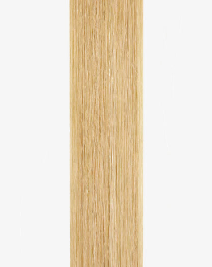 Tape • #Nordic Blonde Balayage