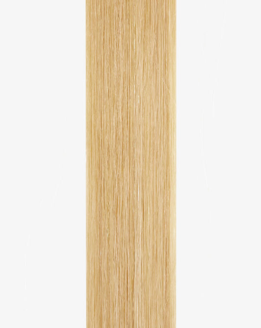 Tape • #Nordic Blonde Balayage